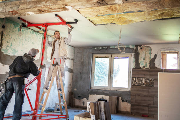 Best Basement Insulation  in Braidwood, IL